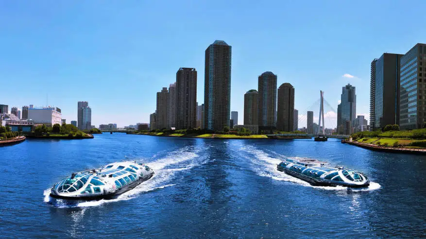 赏秋在日本，东阪够惊喜！枫叶隧道、特色体验，10~12月美到没对手！ background