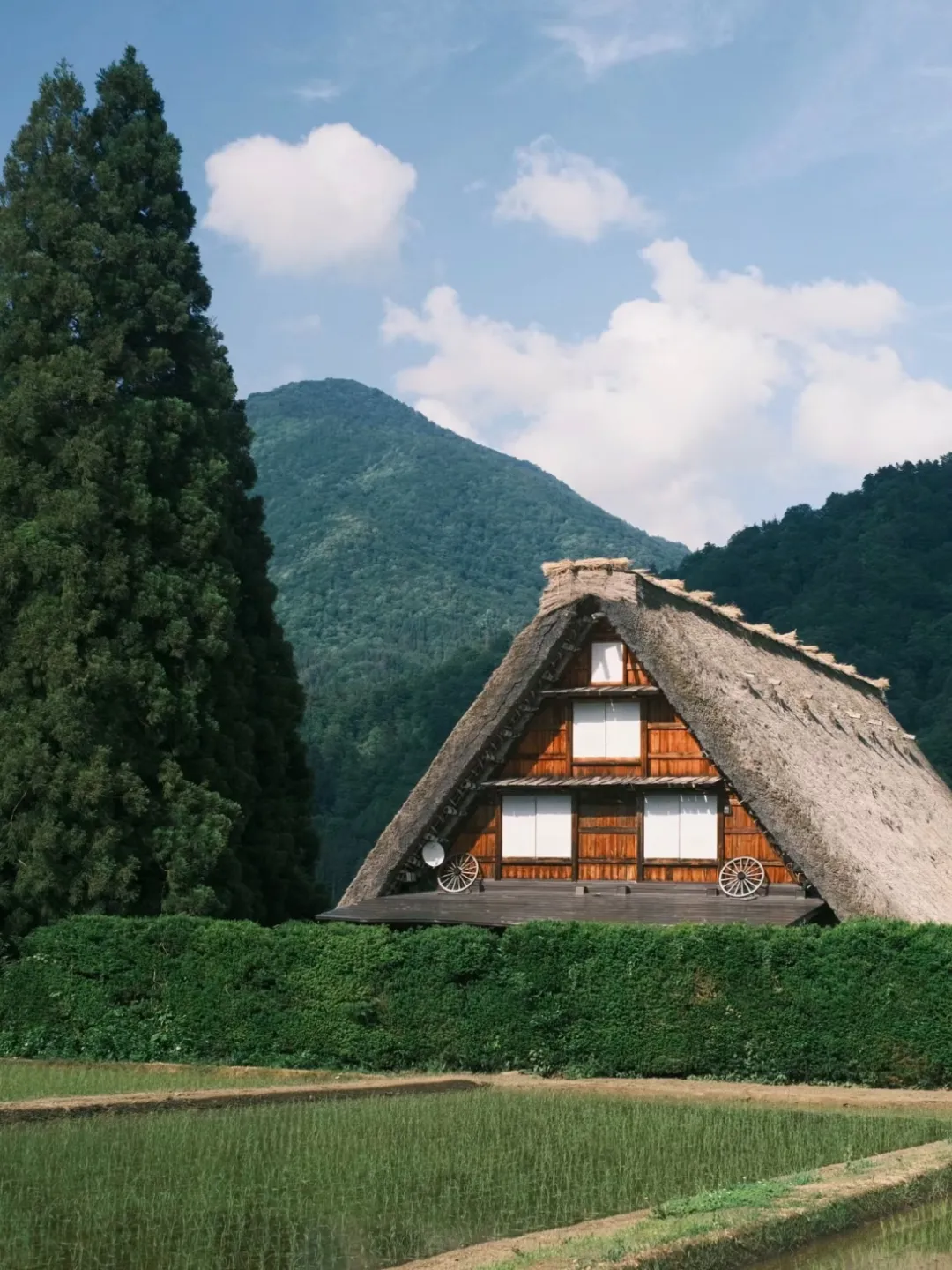 article card image 18089