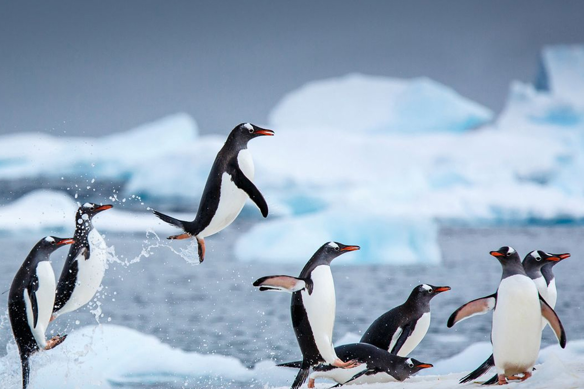 destination recommendations post 221