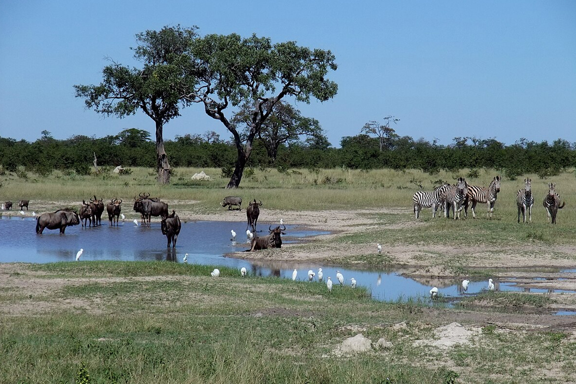 博茨瓦纳 background