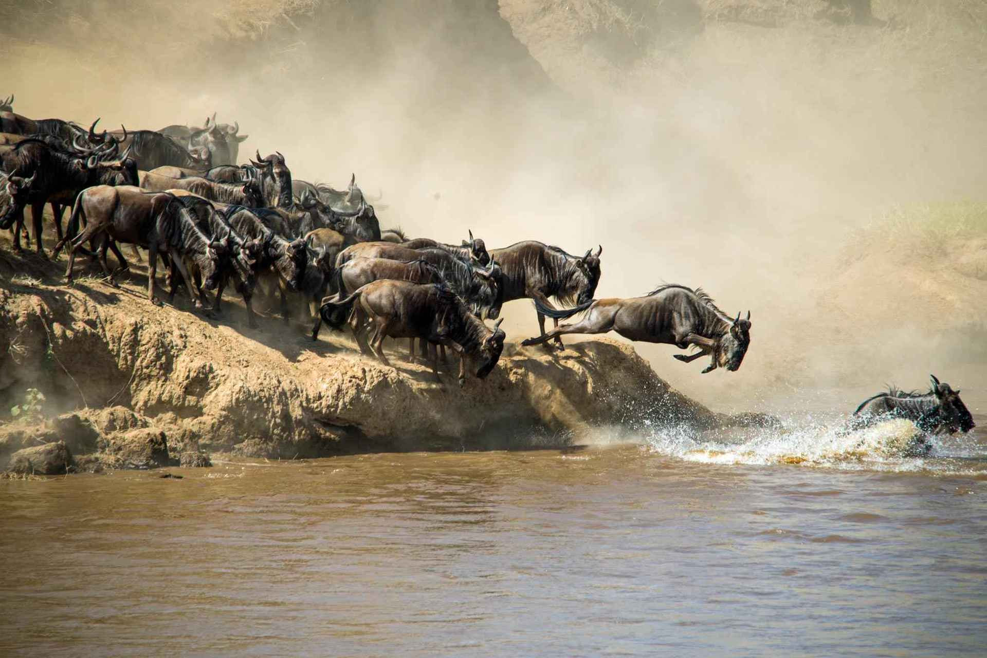 坦桑尼亚 background