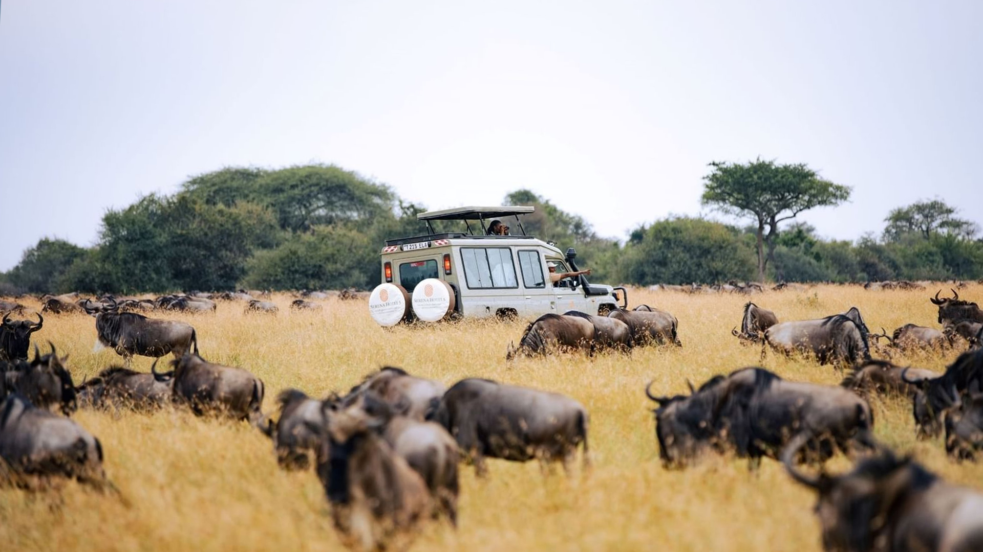 home banner background image