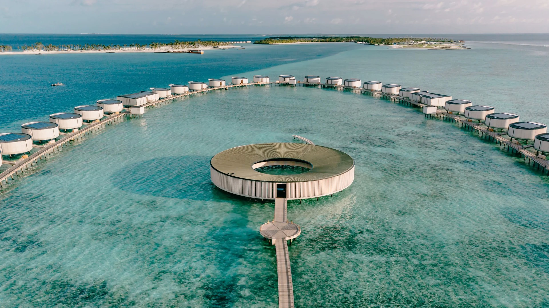 丽思卡尔顿 background