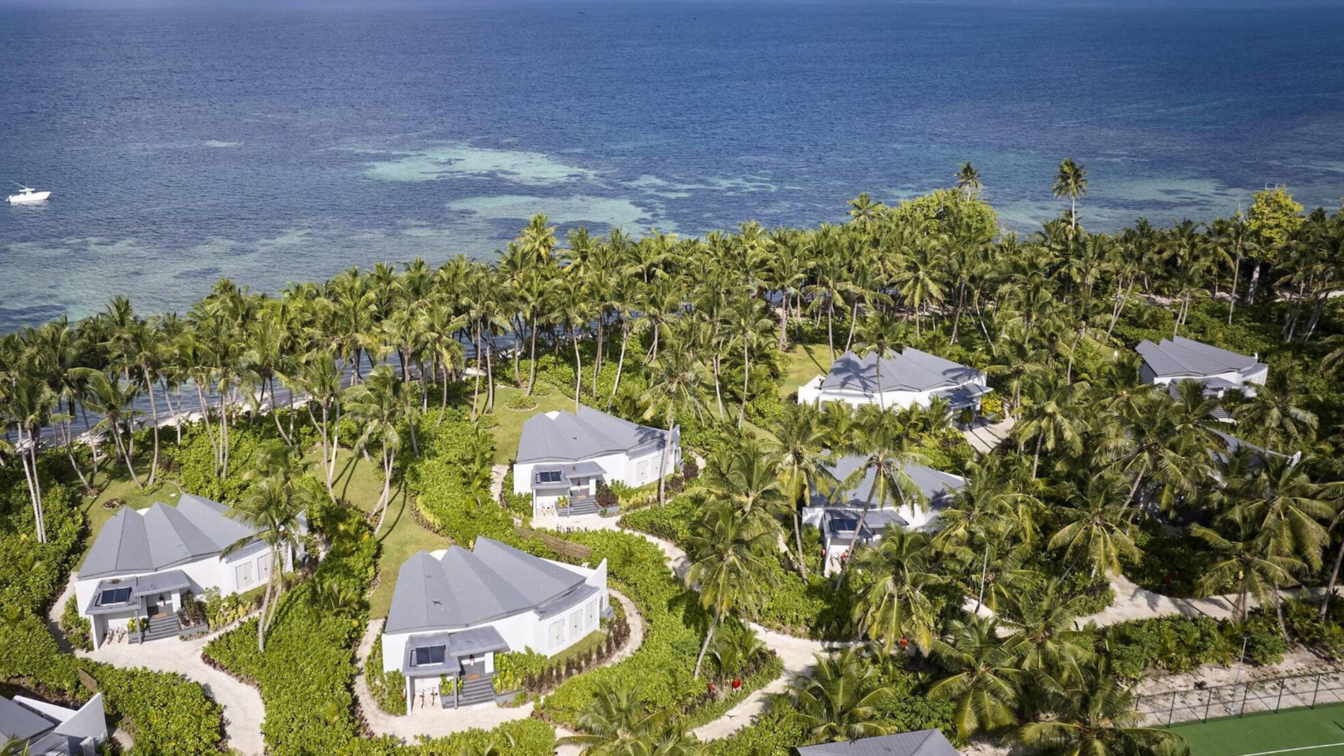 华尔道夫 background