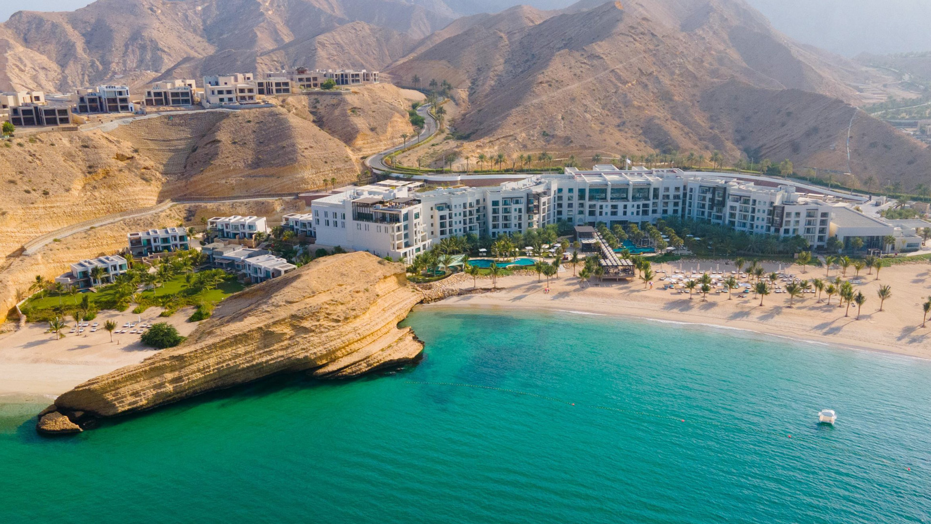 卓美亚 background