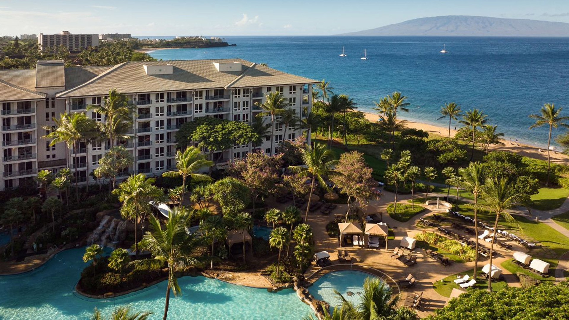 威斯汀 background