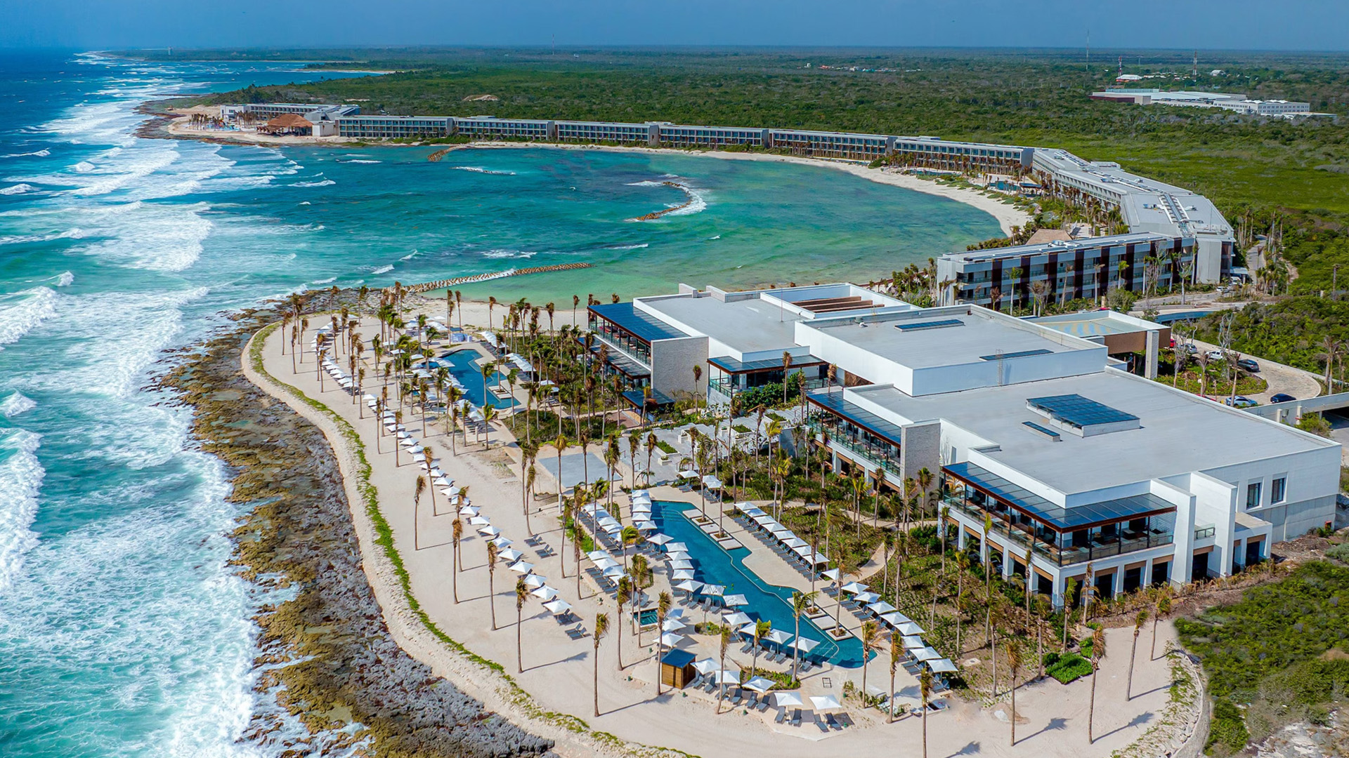 希尔顿 background