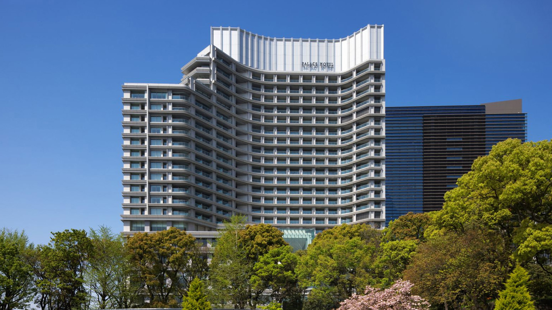 璞富腾 background