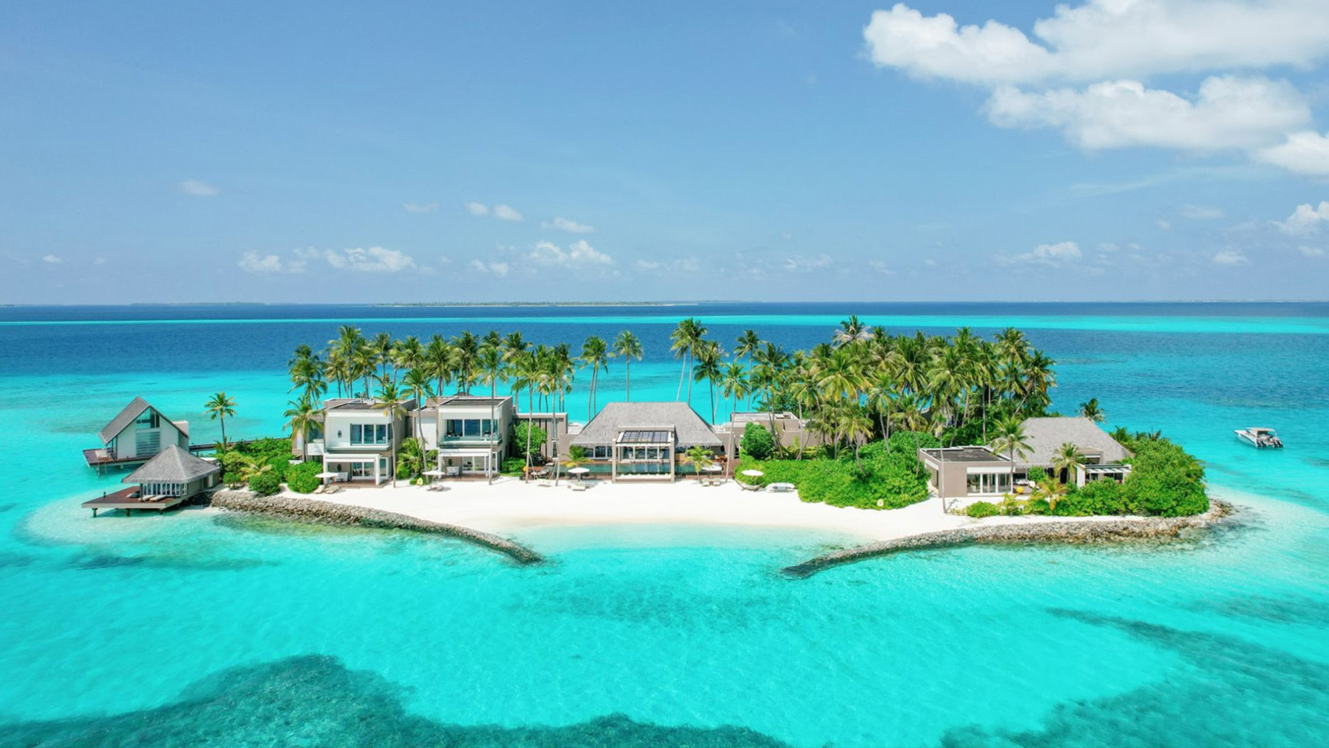 白马庄园 background