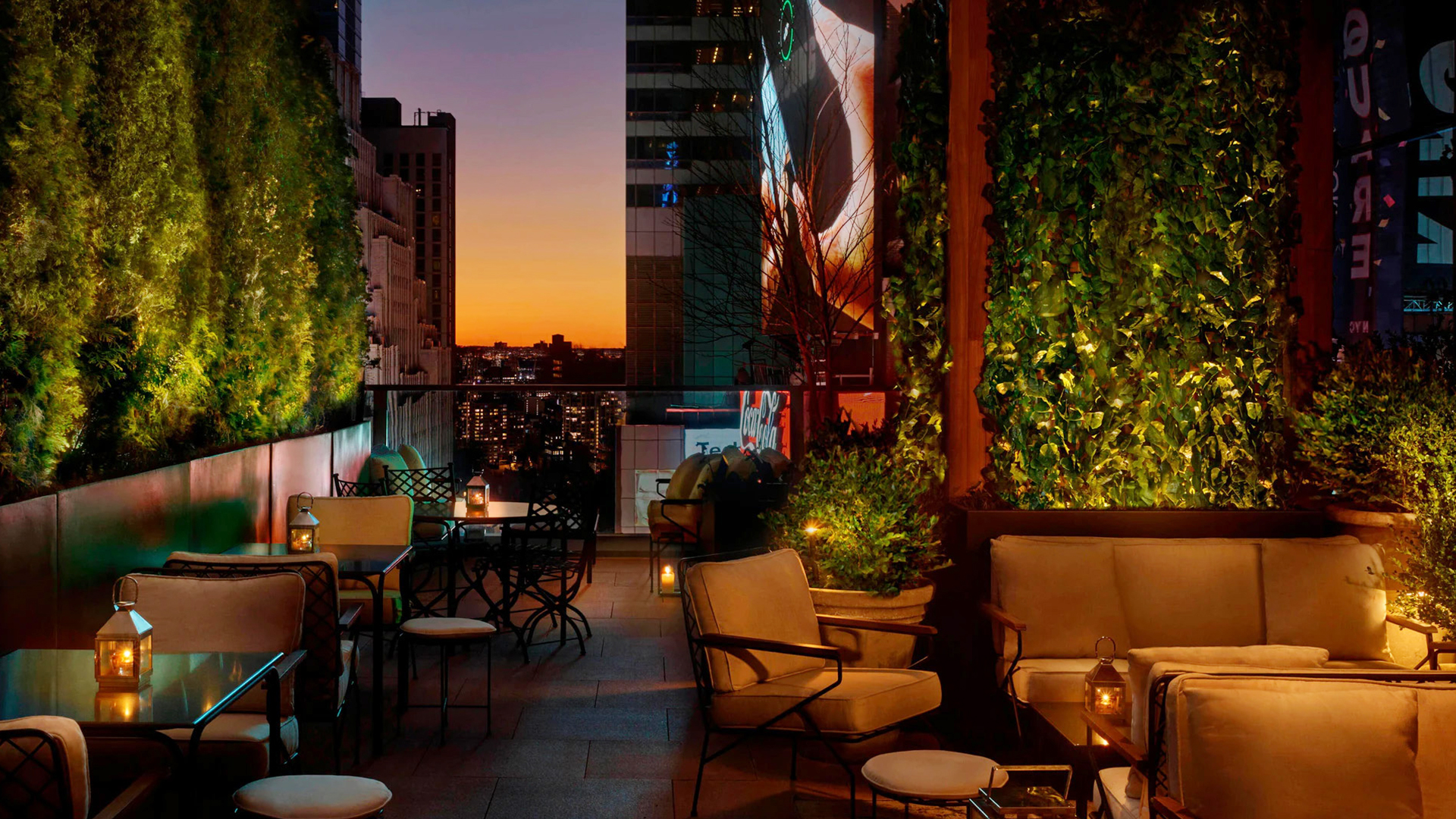 艾迪逊 background