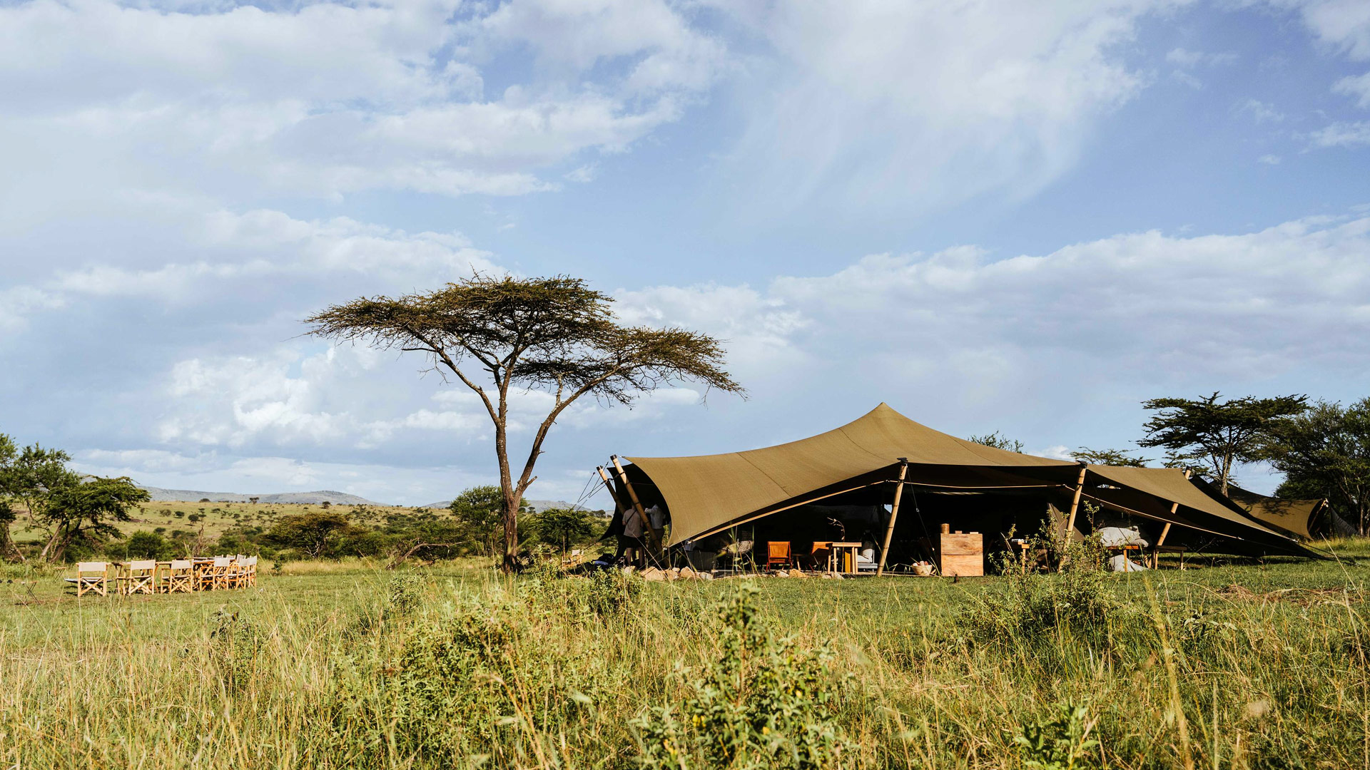 Wilderness Safaris background