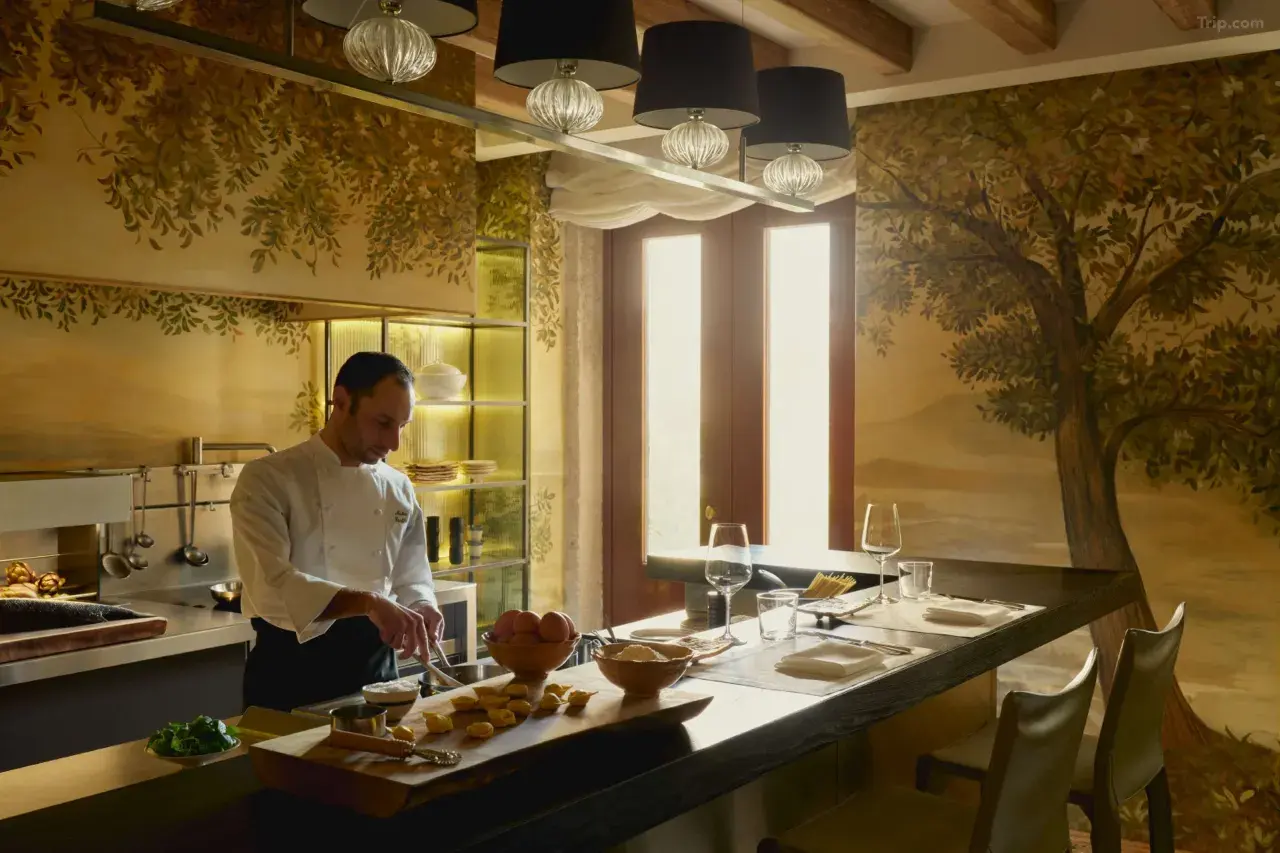 威尼斯安缦 background