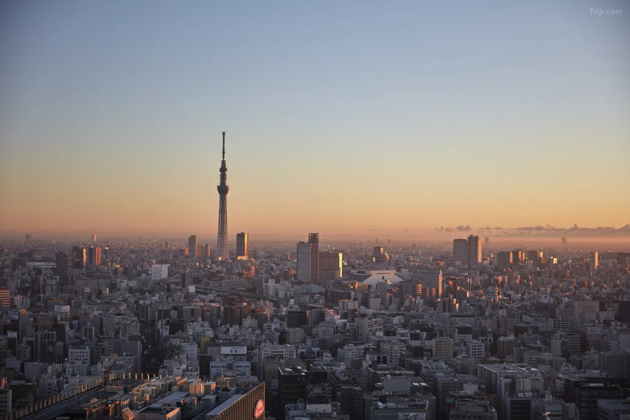 东京文华东方酒店 background
