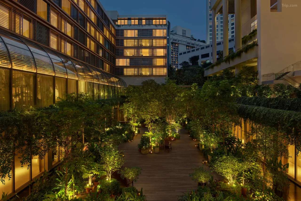 新加坡艾迪逊酒店 background