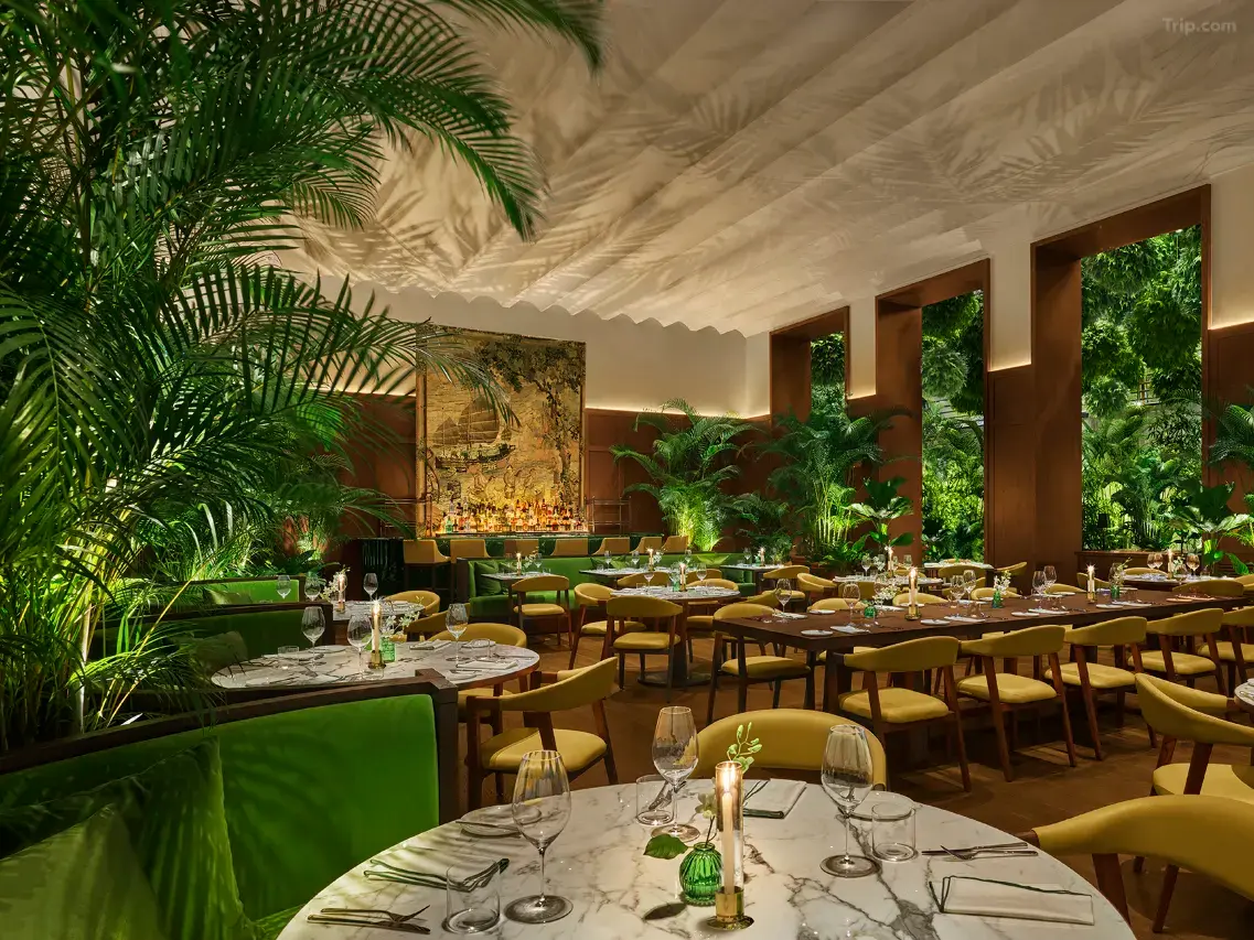 新加坡艾迪逊酒店 background