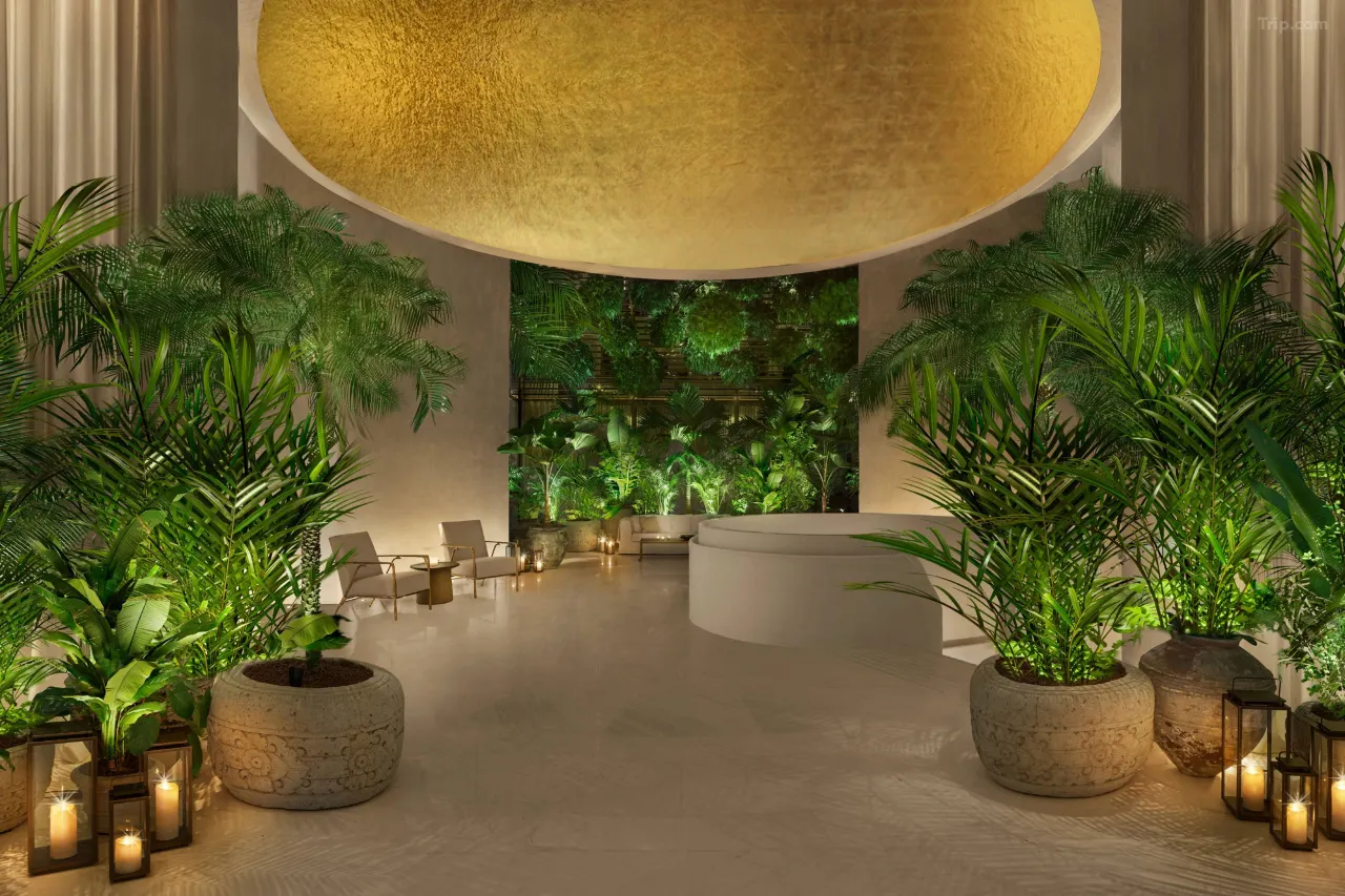 新加坡艾迪逊酒店 background