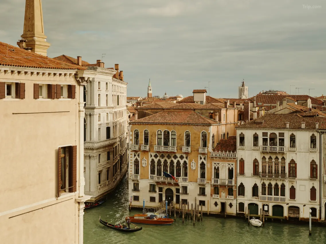 威尼斯安缦 background