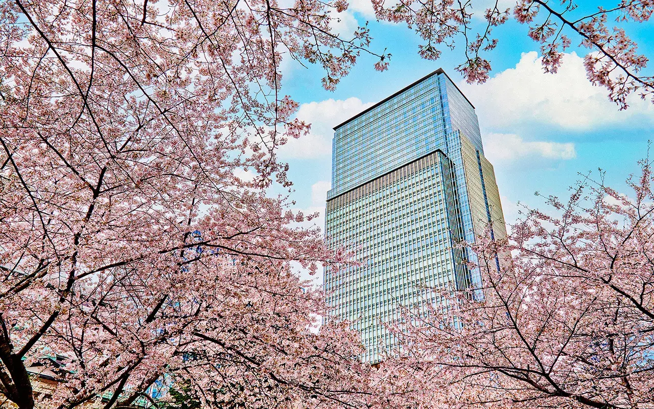 article card image 19949