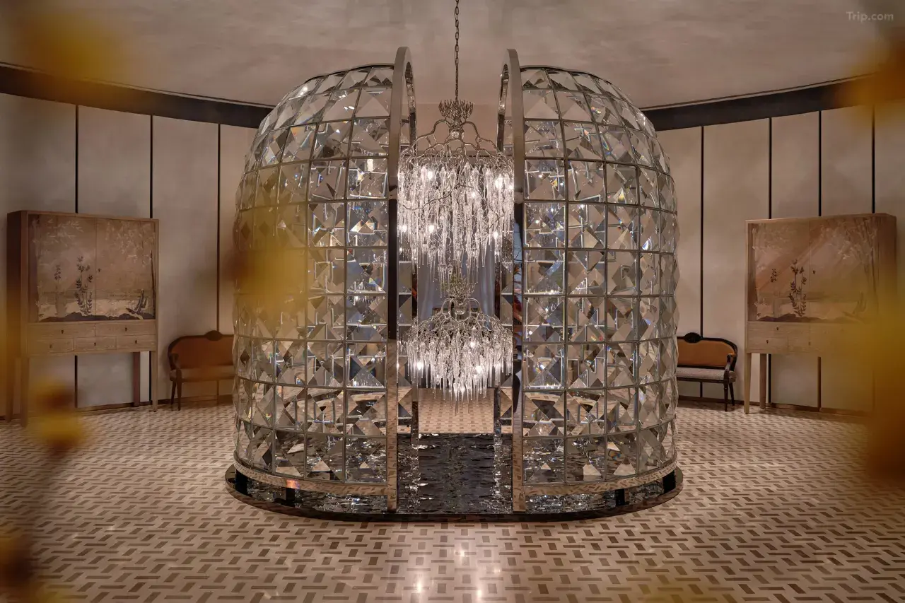 上海海鸥丽晶酒店 background