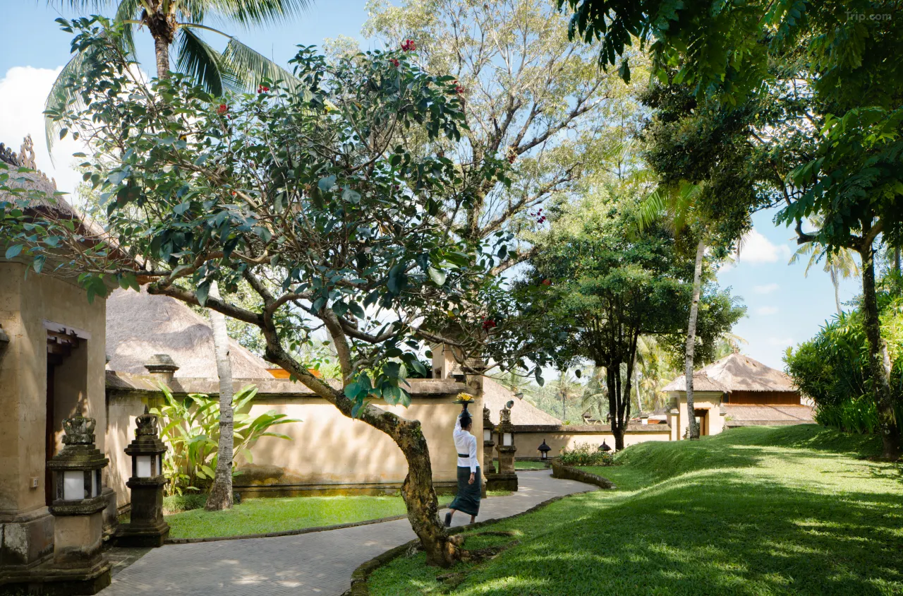 巴厘岛安缦黛宁度假村 background