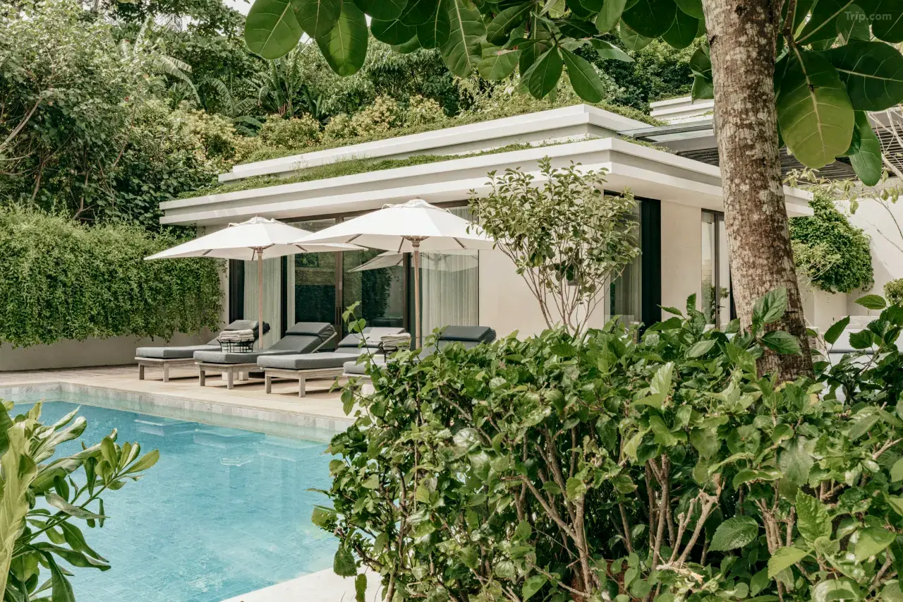 普吉岛瑰丽度假村 background