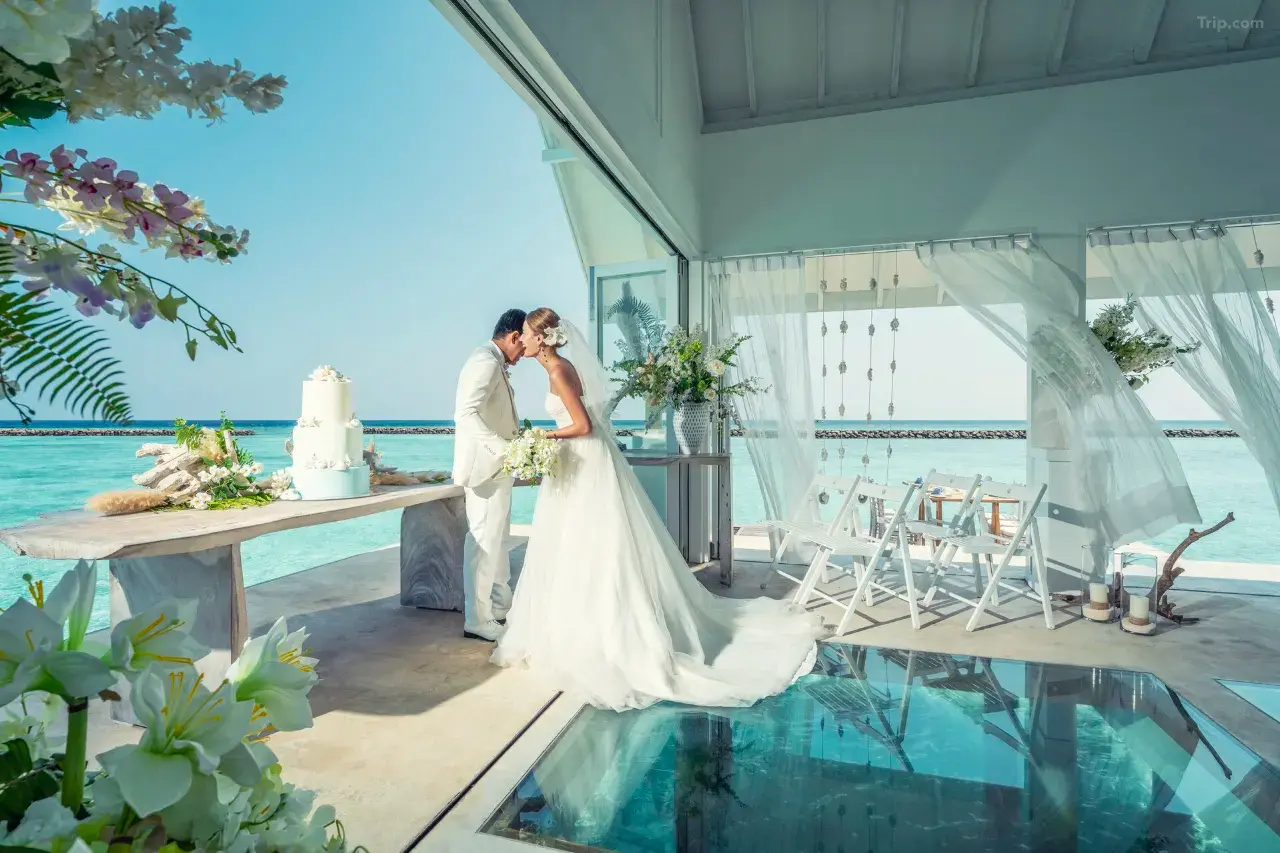 马尔代夫兰达吉拉瓦鲁四季度假村酒店 background