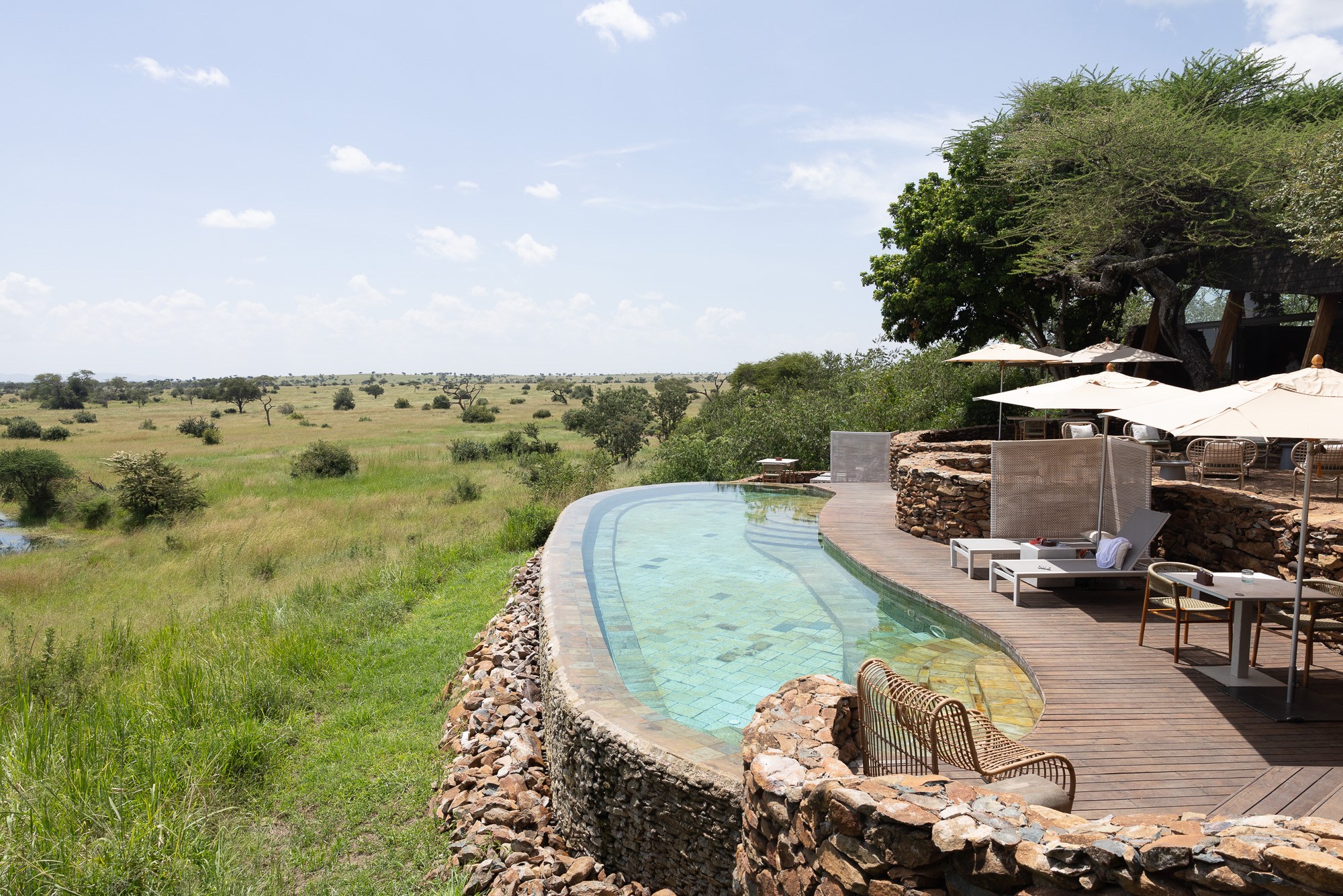 Singita background