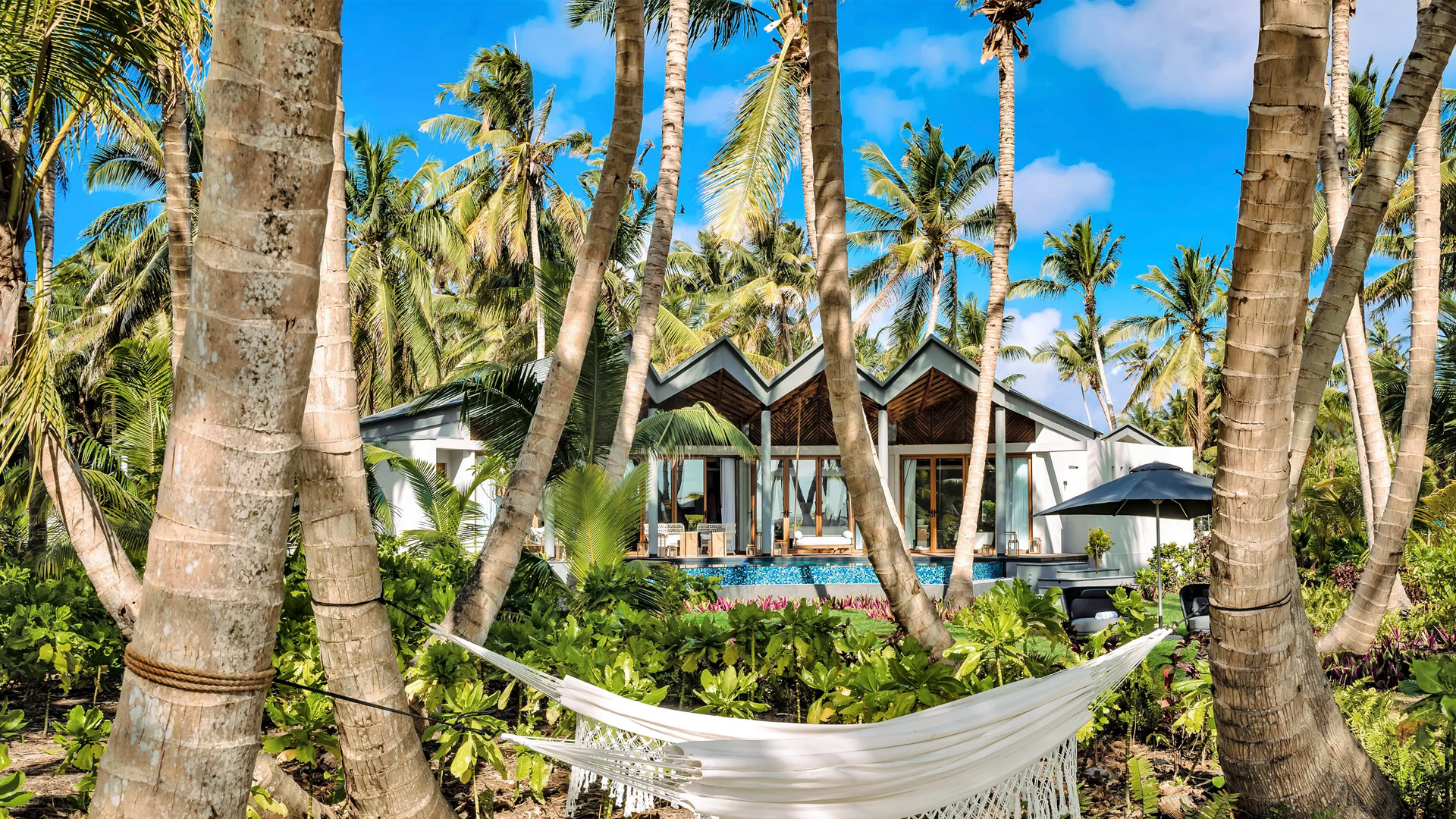 希尔顿集团 background