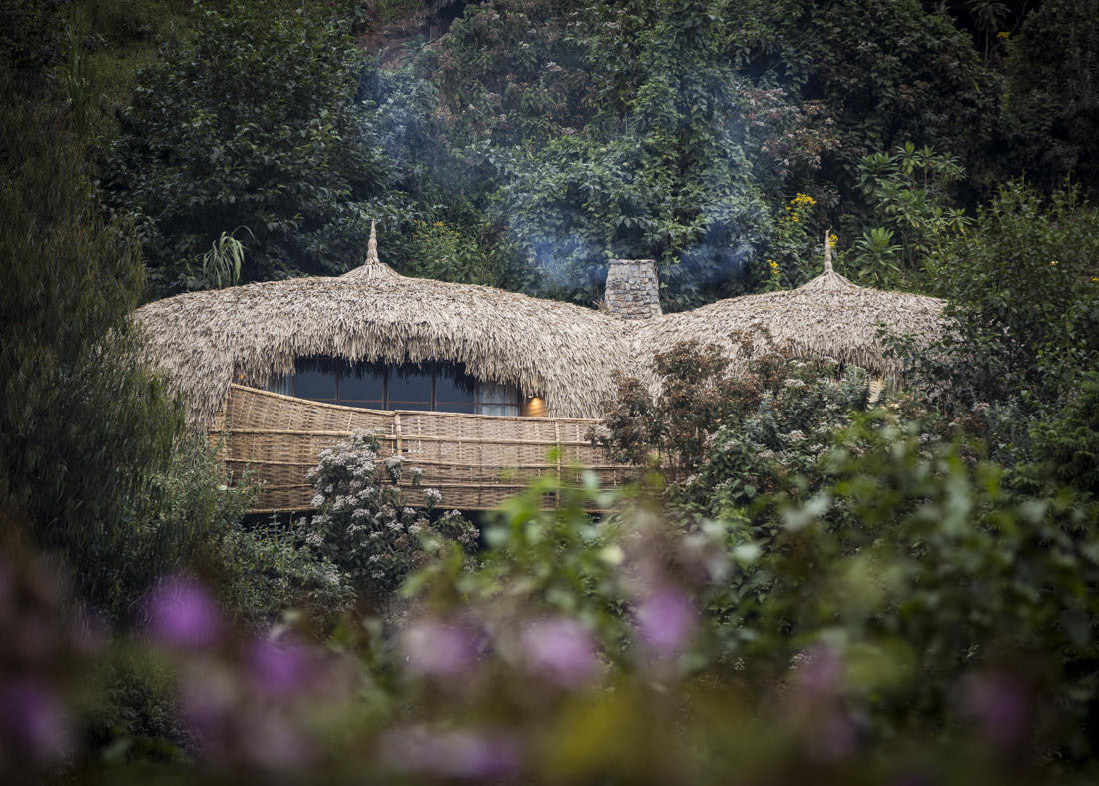 从大草原到云雾火山:卢旺达的终极野性想象 background